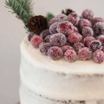 Cranberry Christmas Cake