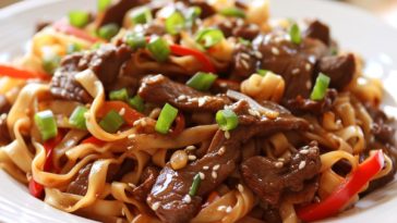 Tender beef and egg noodles in a rich homemade gravy.