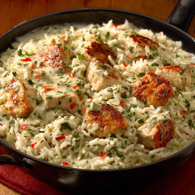 A plate of creamy herb chicken served over fluffy basmati rice, garnished with fresh parsley and a drizzle of sauce.