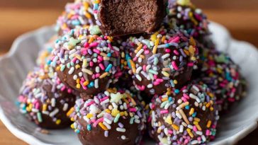 A plate of bite-sized no-bake moose farts made with coconut, chocolate, and sweetened condensed milk, rolled into rustic balls and dusted with cocoa.