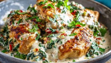 Turkish chicken served with creamy white sauce, tender grilled chicken pieces topped with rich, savory cream.