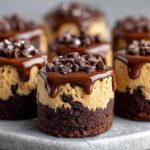 Chocolate chip cookie dough brownie bites with fudgy brownie base and soft cookie dough topping.