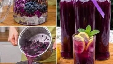 Glass of purple cabbage and blueberry detox drink garnished with fresh blueberries.